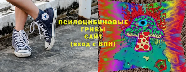 шишки Бородино